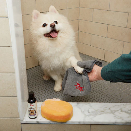 Kit de Banho para Cão, Mime o seu Cãozinho!